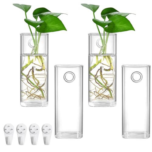 Fasmov 4 Stück Wandbehang Glas Pflanzgefäße Pflanzenterrarium Pflanzenhalter Luftpflanzen Sukkulenten Blumen Wand Vase Behälter für Pflanzen, Dekoration und Ausstellung, quadratische von Fasmov