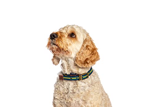 Fatface Hundehalsband, gewebtes Echtleder, Metallschnalle, Größe M, 20 mm, 40-50 cm, Blau/Gelb Fatface Hundehalsband, gewebtes Echtleder, Metallschnalle, Größe M, 20 mm, 40-50 cm, Blau/Gelb von Beauty Water