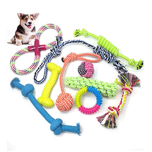 Fauhsto Hundespielzeug Set,Hundeseile,Hund Seil Spielzeug Set,Interaktives Kauspielzeug Spielzeug,Vorteilhaft für die Zahnreinigung des Hundes,für Welpe Kleine/Mittlere Hunde,6-10 Stück von Fauhsto