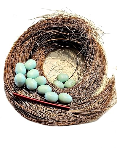 Fauna Birdproducts 12 Nesteier für Kanarien, 30g Nistmaterial & 20 Vogelringe 3 mm aus Aluminium von Fauna Birdproducts