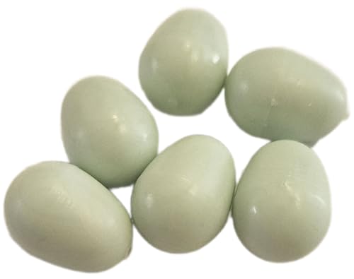 Fauna Birdproducts Nesteier für Kanarien 6er Pack Fauna Birdproducts Nesteier für Kanarien 6er Pack von Fauna Birdproducts