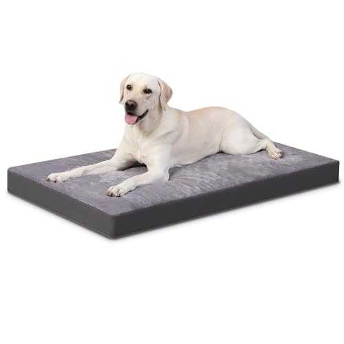 Favodormir Orthopädisches Hundebett Hundekissen Grosse Hunde XXL, mit Waschbar Abnehmbarer Deckel,Outdoor Hundematte Hundekorb Hundematratze für Große Hunde, 119x73x9cm grau von Favodormir