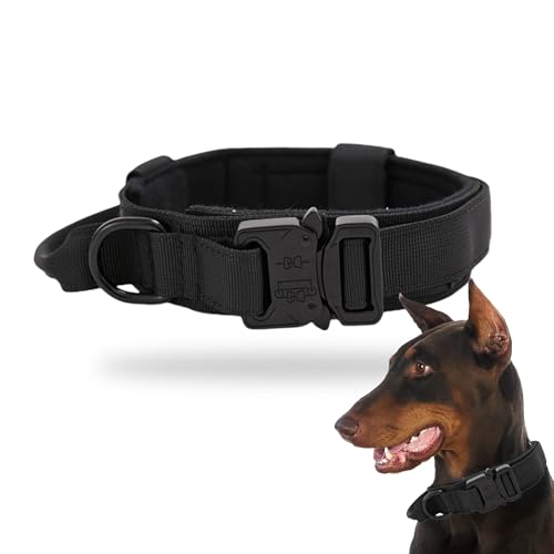 Hundehalsband für Haustiere, verstellbares Hundehalsband, Hundehalsband mit Griff, Trainingshalsband mit robuster Schnalle, Hundehalsband für mittelgroße und extra große Hunde (L, Schwarz) von Favson