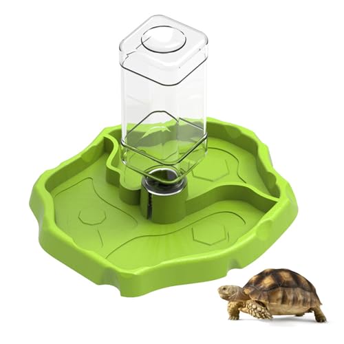 1 Stücke Schildkröten Wasserschale, Fressnapf Schildkröten, Reptilien Schildkröte Futternapf, für Schildkröten, Geckos, Schlangen, Frösche usw Reptilienhaustier (Grün) von Fayemint