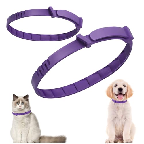 Fayemint 2 Stücke Beruhigendes Halsband Für Haustiere, Beruhigungshalsband Für Katzen Und Hunde, Beruhigendes Pheromonen Halsband, Kann Ängste bei Katzen und Hunden lindern Fayemint 2 Stücke Beruhigendes Halsband Für Haustiere, Beruhigungshalsband Für Katzen Und Hunde, Beruhigendes Pheromonen Halsband, Kann Ängste bei Katzen und Hunden lindern von Fayemint