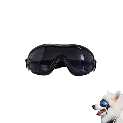 Fayemint Hundebrille, Katzenbrille, Schutzbrille für Haustiere mit Verstellbare Band und Schwammnasenpads Clear von Fayemint