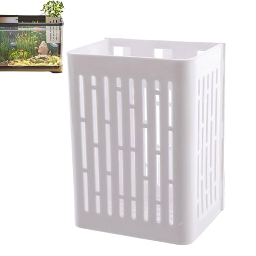 Aquarium-Pflanzenhalter, multifunktionaler Wasserpflanzentopf, Wandmontage, Clip-Design mit platzsparenden Futterbechern für Wassergarten, Teich, Aquarium-Dekoration, 11 x 8 x 6 cm Aquarium-Pflanzenhalter, multifunktionaler Wasserpflanzentopf, Wandmontage, Clip-Design mit platzsparenden Futterbechern für Wassergarten, Teich, Aquarium-Dekoration, 11 x 8 x 6 cm von Fbinys