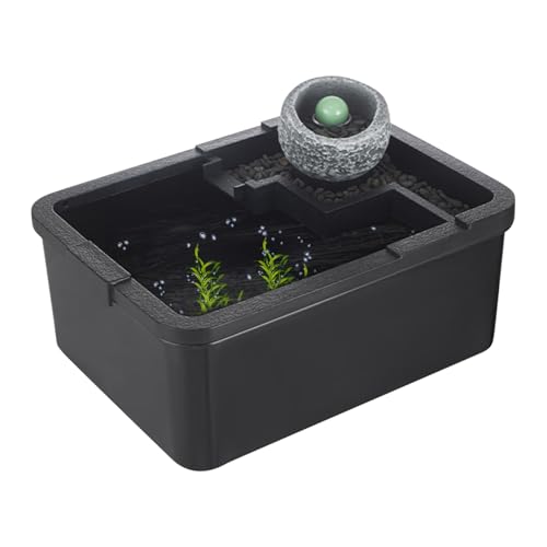 Beta-Fisch-Aquarien, Couchtisch-Tank-Dekoration, USB-Pumpen-Funktion, Licht im Lieferumfang enthalten mit Schreibtisch-Aquarium für Schlafzimmer, Bücherregal, Krankenhaus, Aquaponik, 29 x 22 x 12 cm von Fbinys