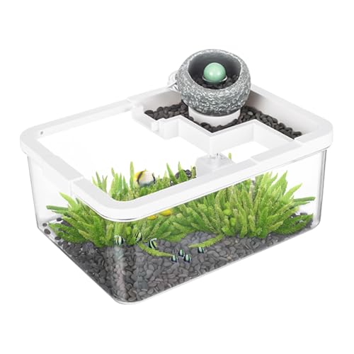 Beta Fish Aquariums, Coffee Table Tank Decor, USB Pump Feature, Light Included with Desktop Aquarium for Bedroom, Bookshelf, Hospital, Aquaponics, 11.42x8.66x4.72 inches Beta Fish Aquariums, Coffee Table Tank Decor, USB Pump Feature, Light Included with Desktop Aquarium for Bedroom, Bookshelf, Hospital, Aquaponics, 11.42x8.66x4.72 inches von Fbinys