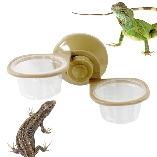 Fbinys Eidechsen-Futternapf, Eidechsen-Wassernapf - Doppelnapf-Reptilienfutterspender,Reptilien-Futternapf, Reptilien-Futter- und Wassernapf, Chamäleon-Futternapf für kleine Reptilien Fbinys Eidechsen-Futternapf, Eidechsen-Wassernapf - Doppelnapf-Reptilienfutterspender,Reptilien-Futternapf, Reptilien-Futter- und Wassernapf, Chamäleon-Futternapf für kleine Reptilien von Fbinys