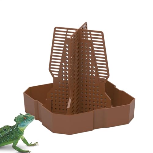Fbinys Futternapf für kleine Tiere, mit Kletterleiter, Terrarium-Futternäpfe für Eidechsen, Frösche, Geckos, mit Kletterleiter von Fbinys