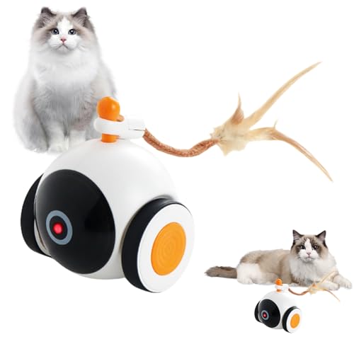 Fbinys Interaktiver Katzenspielzeugball, intelligentes rollendes Anreicherungsspielzeug, bewegungsaktiviertes automatisches Haustier-Aktivitätsspiel, wiederaufladbares Indoor-Trainingsgerät für Fbinys Interaktiver Katzenspielzeugball, intelligentes rollendes Anreicherungsspielzeug, bewegungsaktiviertes automatisches Haustier-Aktivitätsspiel, wiederaufladbares Indoor-Trainingsgerät für von Fbinys