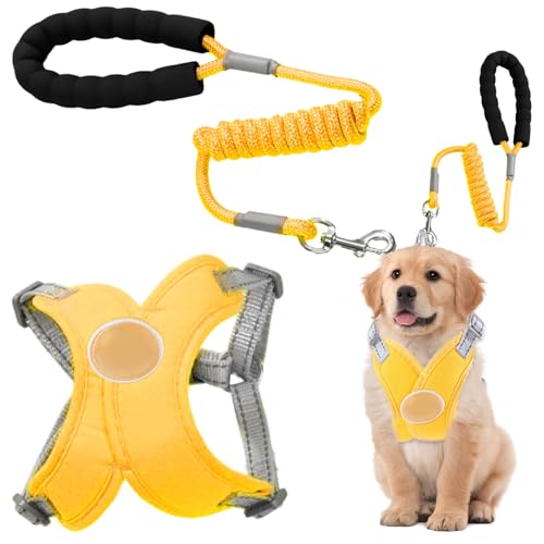 No Pull Dog Harness, Soft Mesh Adjustable Dogs Harness, Reflective Puppy Training with Secure Leading Rope, Breathable Pet Vest for Small & Medium Dogs, Outdoor Walking Gear von Fbinys