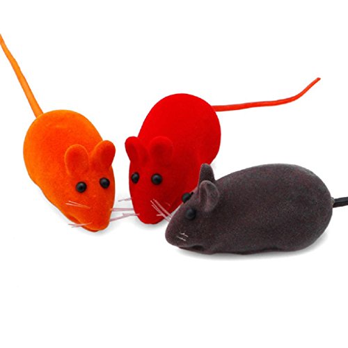 Fcnjsao 5Pcs Für Katze Spielzeug Nette Maus Spielzeug Für Katze Interaktive Spielzeug Spaß Quietschende Maus Spielzeug Für Katze Zahnpflege Für Kätzchen Zum Spielen Fcnjsao 5Pcs Für Katze Spielzeug Nette Maus Spielzeug Für Katze Interaktive Spielzeug Spaß Quietschende Maus Spielzeug Für Katze Zahnpflege Für Kätzchen Zum Spielen von Fcnjsao