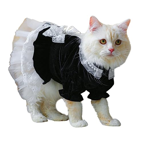 Fcnjsao Hunde Und Katzenkleid Kostüm Haustierkleidung Outfit Spitzendekorationen Bekleidung Für Mädchen Katzen Und Weibliche Kleine Hunde Einfach Zu Tragende Kleidung Fcnjsao Hunde Und Katzenkleid Kostüm Haustierkleidung Outfit Spitzendekorationen Bekleidung Für Mädchen Katzen Und Weibliche Kleine Hunde Einfach Zu Tragende Kleidung von Fcnjsao
