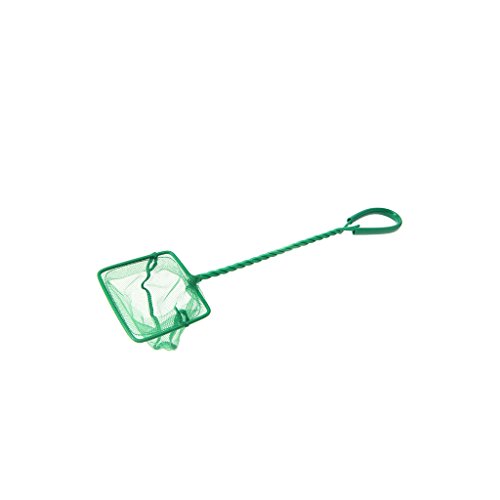 Fischernetz für Aquarien, 12,7 cm Durchmesser, feines Netz, mit bequemem, grünem Griff für Fische Fischernetz für Aquarien, 12,7 cm Durchmesser, feines Netz, mit bequemem, grünem Griff für Fische von Fcnjsao