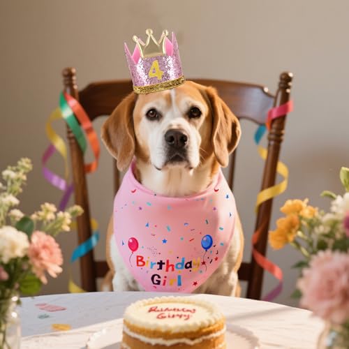 Hunde-Geburtstagsparty-Zubehör, Mädchen, Hund, Geburtstagshut, Bandana, Fliege, Krone mit Zahlen, Set für Hunde, Haustiere (Rosa) von FdcLixuvol