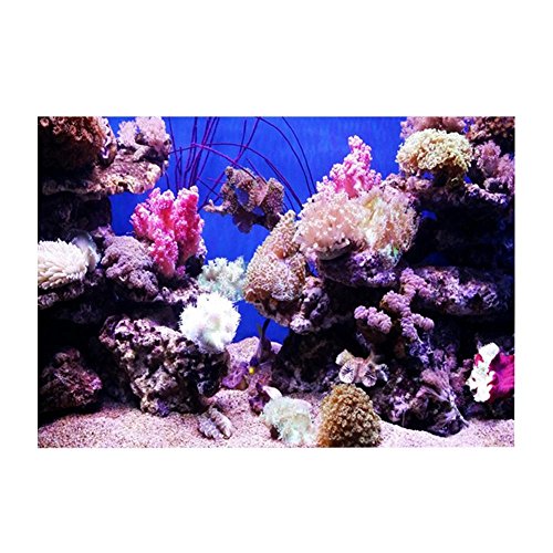 3D-Effekt Korallenplakat Selbstklebendes PVC-Unterwasserplakat Aquarium Aquarium Hintergrund Wandbild Dekorative Tapete Wohnzimmer Sofa TV Hintergrund Fototapete für Aquarium und Aquarium(61*30cm) von Fdit