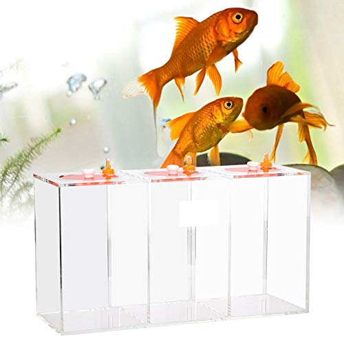 Aquarium Acryl Flüssigkeit Vorratsbehälter Aquarium Acryl Flüssigkeit Vorratsbehälter Trasparent Dosierpumpe Fass Titrationstank mit Waage von Fdit