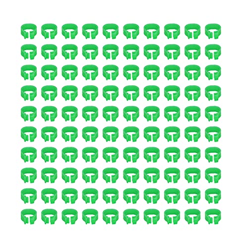 Fdit 100 Stück 8 Mm Große Taubenbeinringe aus Kunststoff, Wiederverwendbar und Leicht zu Reinigen, Geeignet für die Identifizierung und Markierung von Tauben (Green) von Fdit