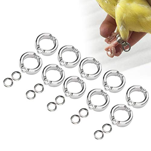 Fdit 10 Stück Vogelfußringe Edelstahl Vogelfußklemmringe Pet Parrot Beinringe für Pet Birds Parrot Training von Fdit