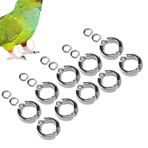 Fdit 10PCS Vogel Fußringe Anti Escape Papagei Bein Ring Vögel Fußkettchen Ring Outdoor Fly Training Aktivität Ring Clip für Haustier Training(#6) von Fdit