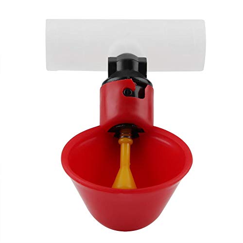 Fdit Hen Automatic Waterer, 5 Stück Dispenser Water Cups Wassertrinker Tool für Vogelwachtel Tauben Huhn Hen Geflügel(20mm) von Fdit