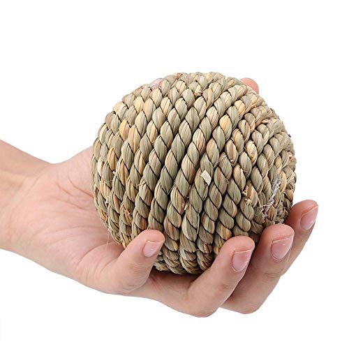 Fdit Kleines Haustier Kauen Spielzeug Natur Gras Rattan Balls Zahnreinigung Schleifen Spielzeug für Kaninchen Papagei Guinea Hamster Ratte Kleine Nagetiere 10 cm Fdit Kleines Haustier Kauen Spielzeug Natur Gras Rattan Balls Zahnreinigung Schleifen Spielzeug für Kaninchen Papagei Guinea Hamster Ratte Kleine Nagetiere 10 cm von Fdit