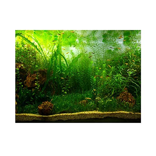 Fdit Wasser Gras Stil Aquarium Aquarium Hintergrund Poster PVC Klebe Dekor Papier von Fdit