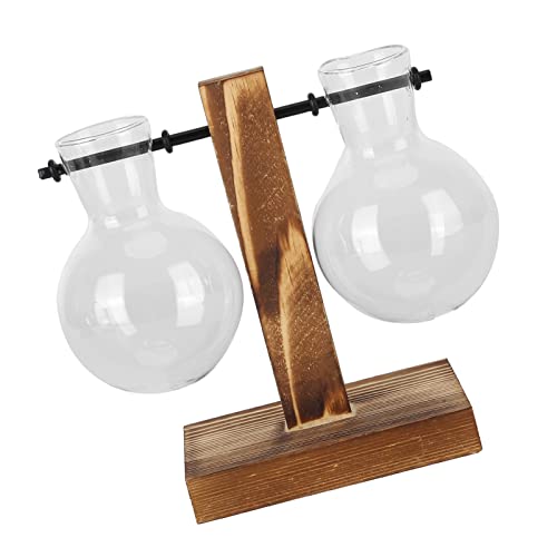 Pflanzgefäß, Vase, Zuhause, Büro, Schreibtisch, Dekoration, Pflanzenbehälter, Transparent, Grüner Rettich, Desktop-Hydrokultur, Blumenarrangement, Holztopf, Holzrahmen, Ornament Pflanzgefäß, Vase, Zuhause, Büro, Schreibtisch, Dekoration, Pflanzenbehälter, Transparent, Grüner Rettich, Desktop-Hydrokultur, Blumenarrangement, Holztopf, Holzrahmen, Ornament von Fdit