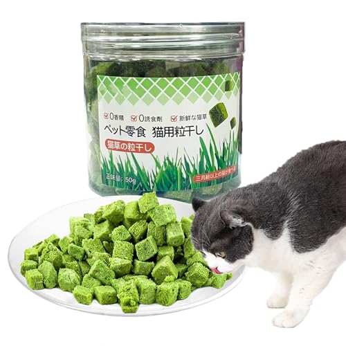 FePen Katzengras Sticks, 12 stück Beißstäbe Aus Katzengras für Hauskatzen, Katzengras Beissstäbchen, Katzengras-kaustangen, zur Verbesserung der Katzenverdauung (50 g) von FePen