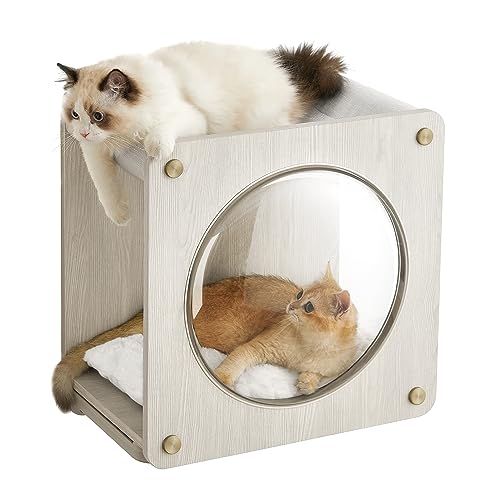 Feandrea Clickat Kollektion - Nr. 010 Katzenhöhle, extrem schnelle Montage, unbegrenzt erweiterbar, Module und Kissen austauschbar, Kletterwand Katzen, Katzenmöbel, mit Katzen-Hängematte, Fenster Feandrea Clickat Kollektion - Nr. 010 Katzenhöhle, extrem schnelle Montage, unbegrenzt erweiterbar, Module und Kissen austauschbar, Kletterwand Katzen, Katzenmöbel, mit Katzen-Hängematte, Fenster von Feandrea
