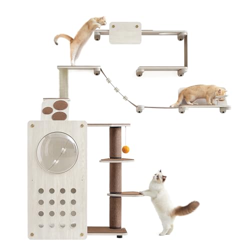 Feandrea Clickat Land - Kletterwand Katzen, 7er Set, extrem schnelle Montage, unbegrenzt erweiterbar, austauschbare Module und Teile, Kratzbaum, Katzenbrett, Hängematte, Katzentreppe, Futterstation Feandrea Clickat Land - Kletterwand Katzen, 7er Set, extrem schnelle Montage, unbegrenzt erweiterbar, austauschbare Module und Teile, Kratzbaum, Katzenbrett, Hängematte, Katzentreppe, Futterstation von Feandrea