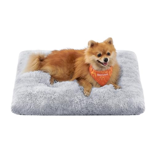 Feandrea Hundebett, Hundekissen, Flauschige Hundematte, Langer Plüsch, 65 x 45 cm, weiche Polsterung, maschinenwaschbar, multifunktional, Ombré-Grau PGW200G01 Feandrea Hundebett, Hundekissen, Flauschige Hundematte, Langer Plüsch, 65 x 45 cm, weiche Polsterung, maschinenwaschbar, multifunktional, Ombré-Grau PGW200G01 von Feandrea