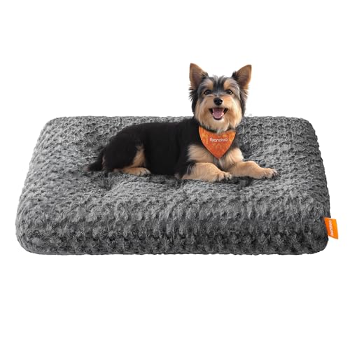 Feandrea Hundebett, Hundekissen M, für kleine Hunde, Flauschige Hundematte, Plüsch, 80 x 50 cm, weiche Polsterung, waschbar, rutschfest, schiefergrau PGW291GN01 Feandrea Hundebett, Hundekissen M, für kleine Hunde, Flauschige Hundematte, Plüsch, 80 x 50 cm, weiche Polsterung, waschbar, rutschfest, schiefergrau PGW291GN01 von Feandrea