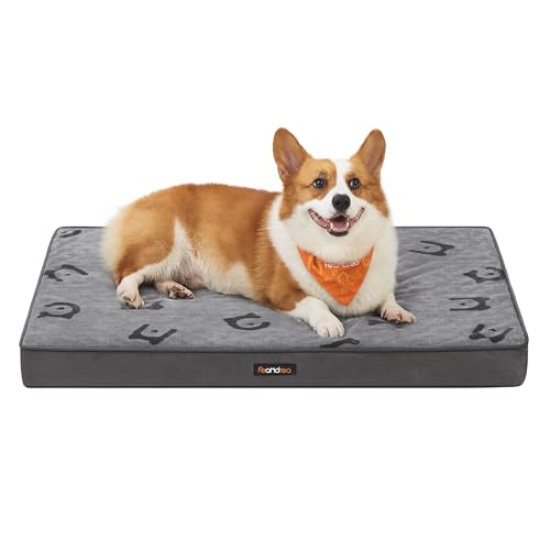 Feandrea Hundebett, Hundekissen waschbar, Hundematte abnehmbar, wasserdicht, 76 x 51 x 8 cm, Größe M, für kleine und Minihunde, Taubengrau PGW241G01 Feandrea Hundebett, Hundekissen waschbar, Hundematte abnehmbar, wasserdicht, 76 x 51 x 8 cm, Größe M, für kleine und Minihunde, Taubengrau PGW241G01 von Feandrea