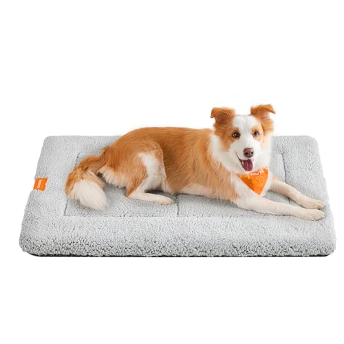 Feandrea Hundedecke, Haustier Decke, für Hunde, Katzen, 105 x 70 cm, XL, maschinenwaschbar, trocknergeeignet, rutschfest, hellgrau PPB020G01 Feandrea Hundedecke, Haustier Decke, für Hunde, Katzen, 105 x 70 cm, XL, maschinenwaschbar, trocknergeeignet, rutschfest, hellgrau PPB020G01 von Feandrea