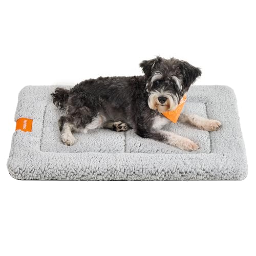 Feandrea Hundedecke, Haustier Decke, für Hunde, Katzen, 75 x 50 cm, M, maschinenwaschbar, trocknergeeignet, rutschfest, hellgrau PPB019G01 Feandrea Hundedecke, Haustier Decke, für Hunde, Katzen, 75 x 50 cm, M, maschinenwaschbar, trocknergeeignet, rutschfest, hellgrau PPB019G01 von Feandrea