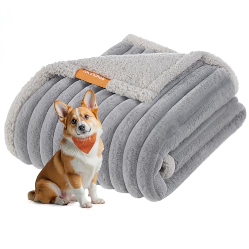 Feandrea Hundedecke, wasserdichte Decke, L, 127 x 102 cm, für kleine, mittelgroße Hunde, beidseitig verwendbar, Hundesofa waschbar, Taubengrau-hellgrau PPB035G01 Feandrea Hundedecke, wasserdichte Decke, L, 127 x 102 cm, für kleine, mittelgroße Hunde, beidseitig verwendbar, Hundesofa waschbar, Taubengrau-hellgrau PPB035G01 von Feandrea