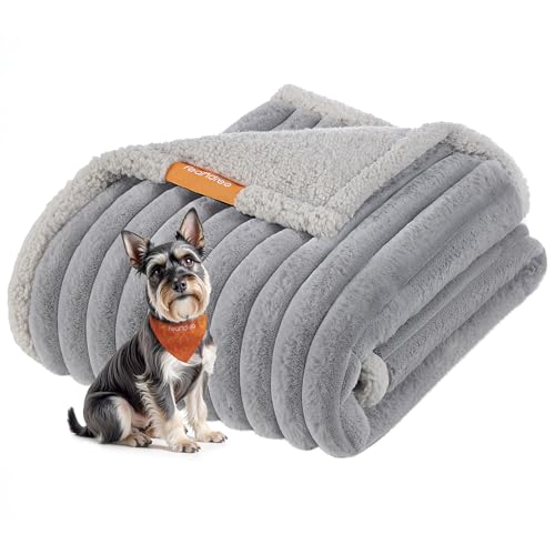 Feandrea Hundedecke, wasserdichte Decke, M, 102 x 73 cm, für Minihunde, kleine Hunde, beidseitig verwendbar, Hundesofa waschbar, Taubengrau-hellgrau PPB034G01 Feandrea Hundedecke, wasserdichte Decke, M, 102 x 73 cm, für Minihunde, kleine Hunde, beidseitig verwendbar, Hundesofa waschbar, Taubengrau-hellgrau PPB034G01 von Feandrea