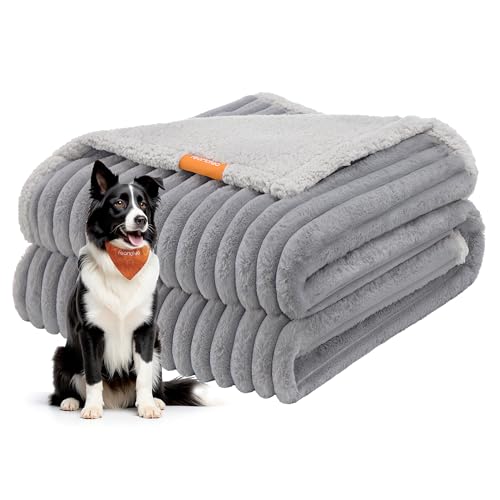 Feandrea Hundedecke, wasserdichte Decke, XL, 152 x 127 cm, für mittelgroße, große Hunde, beidseitig verwendbar, Hundesofa waschbar, Taubengrau-hellgrau PPB036G01 von Feandrea