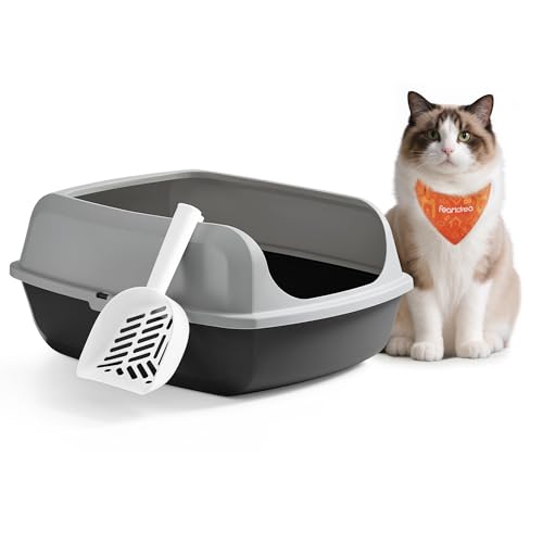Feandrea Katzenklo mit hohen Seitenwänden, XXL, offene Katzentoilette, mit Schaufel, für Kätzchen und große Katzen, schiefergrau PPT010GN01 von Feandrea