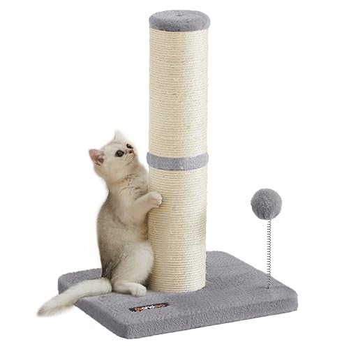 Feandrea Kratzbaum, 53 cm hoch, Kratzsäule, 11 cm Dicker Stamm, Katzenbaum, Kratzstamm für Katzenjunges, kleine und mittelgroße Katzen, Sisalstamm, mit Plüschball und Glocke, Taubengrau PCA023G01 Feandrea Kratzbaum, 53 cm hoch, Kratzsäule, 11 cm Dicker Stamm, Katzenbaum, Kratzstamm für Katzenjunges, kleine und mittelgroße Katzen, Sisalstamm, mit Plüschball und Glocke, Taubengrau PCA023G01 von Feandrea