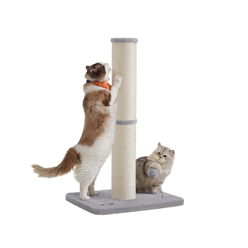 Feandrea Kratzbaum, 85 cm hoch, Kratzsäule, 13 cm Dicker Stamm, Katzenbaum, Kratzstamm für mittelgroße und große Katzen, Sisalstamm, mit Plüschball und Glocke, Taubengrau PCA041G01 Feandrea Kratzbaum, 85 cm hoch, Kratzsäule, 13 cm Dicker Stamm, Katzenbaum, Kratzstamm für mittelgroße und große Katzen, Sisalstamm, mit Plüschball und Glocke, Taubengrau PCA041G01 von Feandrea