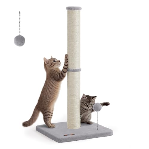 Feandrea Kratzbaum, 85 cm hoch, Kratzsäule L, 7 cm Dicker Stamm, Katzenbaum, Kratzstamm für Kätzchen und Normale ausgewachsene Katzen, Sisalstamm, mit Plüschball und Glocke, Taubengrau PCA040G01 Feandrea Kratzbaum, 85 cm hoch, Kratzsäule L, 7 cm Dicker Stamm, Katzenbaum, Kratzstamm für Kätzchen und Normale ausgewachsene Katzen, Sisalstamm, mit Plüschball und Glocke, Taubengrau PCA040G01 von Feandrea