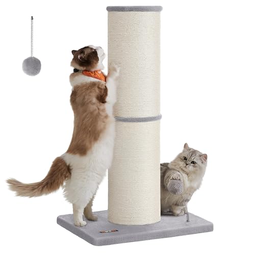 Feandrea Kratzbaum, 85 cm hoch, Kratzsäule XXL, 17 cm Dicker Stamm, Katzenbaum, Kratzstamm auch für große Katzen wie Maine-Coon-Katze, Sisalstamm, mit Plüschball und Glocke, Taubengrau PCA042G01 Feandrea Kratzbaum, 85 cm hoch, Kratzsäule XXL, 17 cm Dicker Stamm, Katzenbaum, Kratzstamm auch für große Katzen wie Maine-Coon-Katze, Sisalstamm, mit Plüschball und Glocke, Taubengrau PCA042G01 von Feandrea