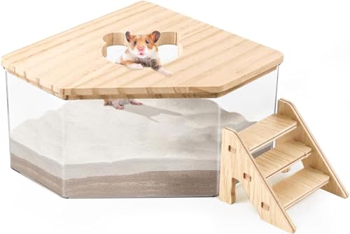 Feaolala Hamster-Sand-Badebox, Hamster-Badebox, Acryl, Dusche, Grabraum, Katzentoilette für Mäuse, Rennmäuse, Staubbad, Hamster, Zubehör, Badewannenbox, Maushaus, Haustierbedarf (Fünfeck + Leiter) von Feaolala