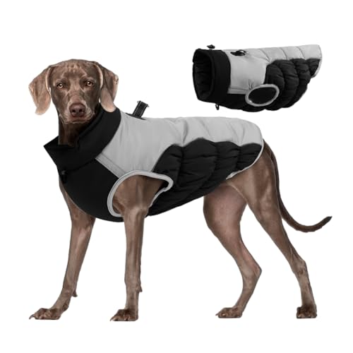 Feaolala Hundeweste Winterwarme Kleidung Hundewinterkleidung Jacke mit Geschirr Warme Haustierweste Winddicht Sicher mit Gewinde für Winter (4XL,Schwarz) von Feaolala