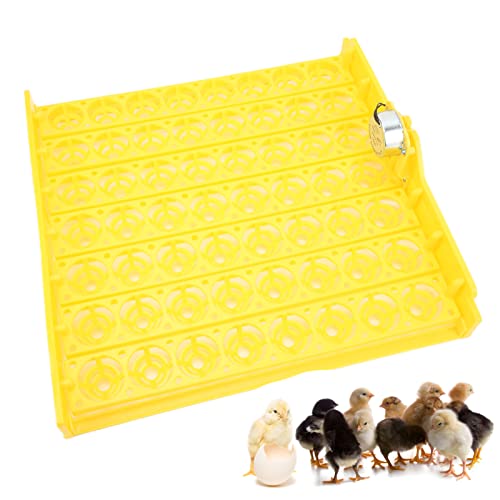 Automatischer Eierwender, 56 Eier, ABS-Eierwender für Eierbrutkasten, geeignet für Brutgeflügel (12V) von Febuliy