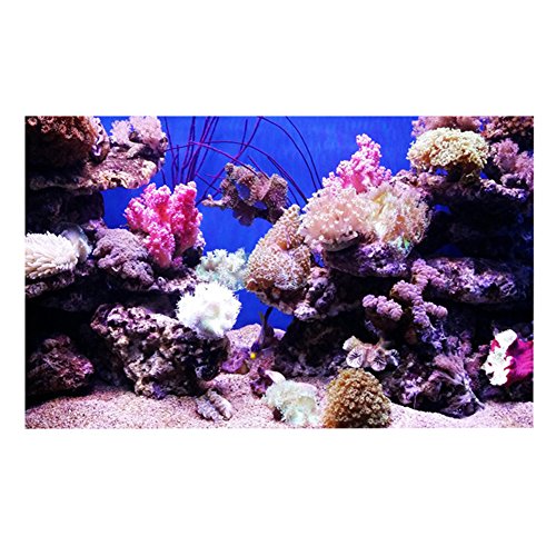 Febuliy 3D Effect Adhäsive Korallenseeworld Poster Aquarium Fischtank Dekoration wasserdicht haltbar einfach sauber, selbstklebend schön hell farbenfroh (122 * 61 cm) von Febuliy